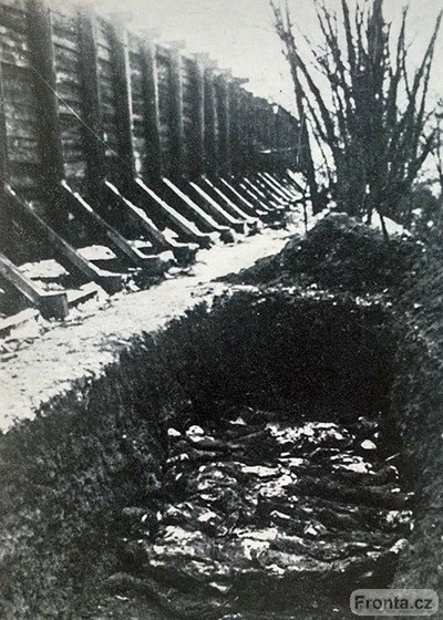 bratrusov.jpg