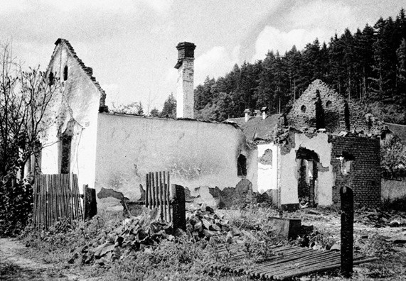 vypalene-javoricko-1.jpg